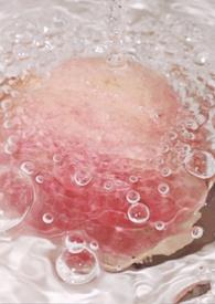 被俘np无删减最新章节更新