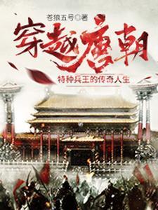 特种兵穿越唐朝代王李简