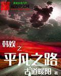 韩娱之平凡之路 txt百度
